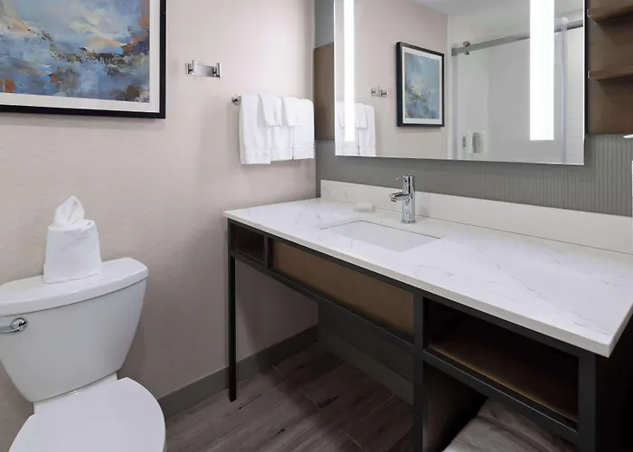Hilton Garden Winston-salem/hanes Mall 3*